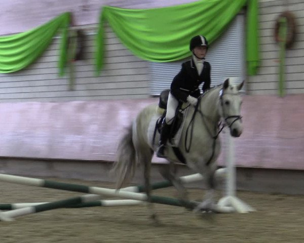 Reitturnier Hellefeld 2019