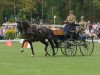 dressage horse Sir Magic (Westphalian, 2011, from San Amour I)