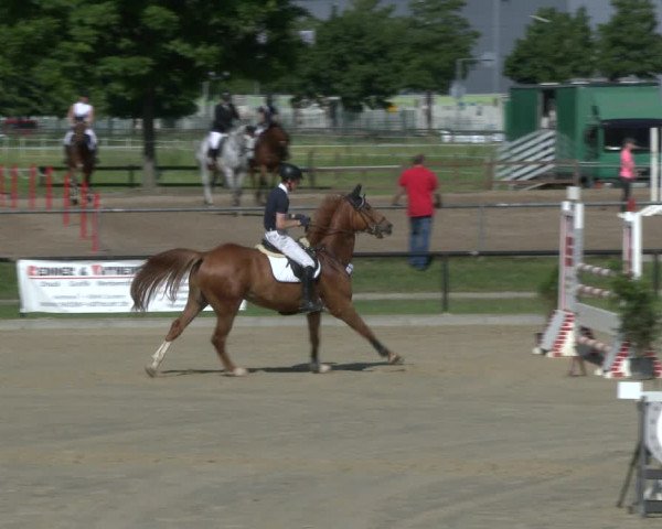 Reitturnier Hamm-Rhynern 2019