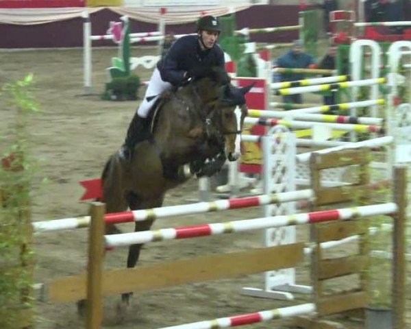 broodmare Wild Princess (German Sport Horse, 2007, from Lancelot Quainton)