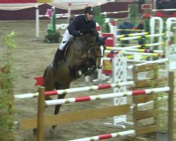 jumper Wild Princess (Deutsches Sportpferd, 2007, from Lancelot Quainton)