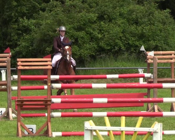 Reitturnier Medelby 2019