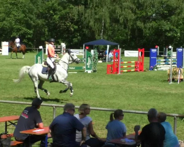 Reitturnier Leingarten 2019