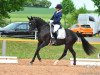 broodmare Demoiselle C.l. (German Riding Pony, 2011, from Dornik B)