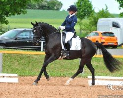 broodmare Demoiselle C.l. (German Riding Pony, 2011, from Dornik B)