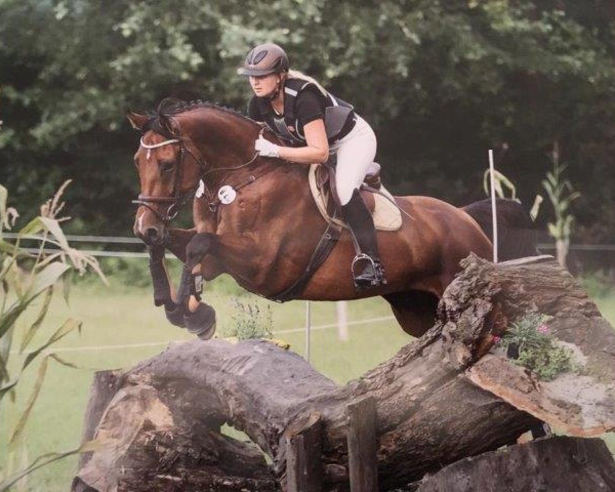 broodmare C'est la rose 2 (Zweibrücken, 2010, from Clever and Smart)