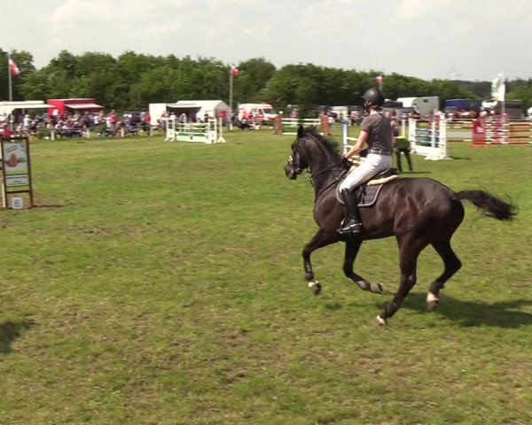Reitturnier Medelby 2019