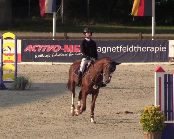 Reitturnier Westergellersen 2021