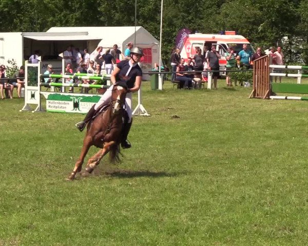 Reitturnier Medelby 2019