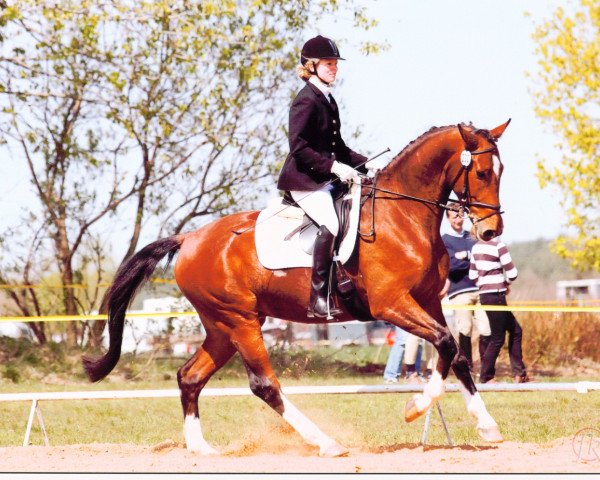 dressage horse Leparello (German Sport Horse, 2005, from Lord Altmark)