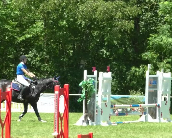 Reitturnier Leingarten 2019
