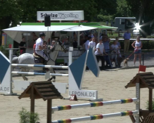 Reitturnier Hamm-Rhynern 2019