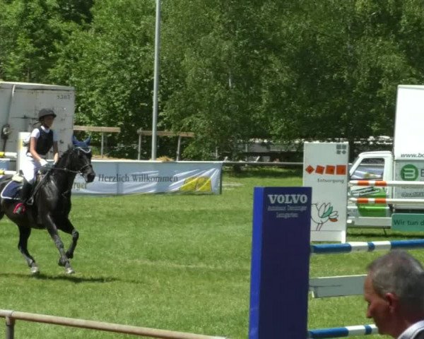 Reitturnier Leingarten 2019