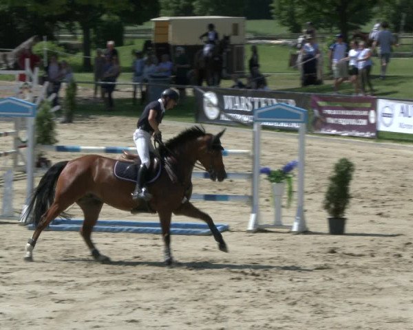 Reitturnier Hamm-Rhynern 2019