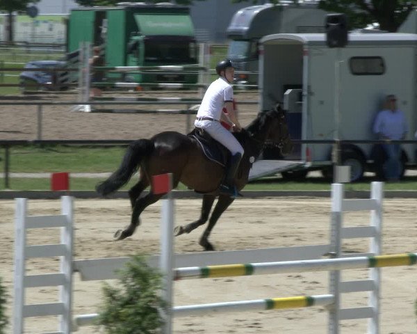 Reitturnier Hamm-Rhynern 2019