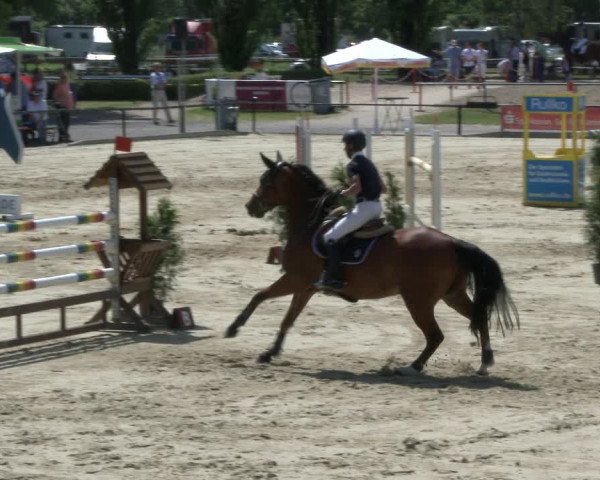 Reitturnier Hamm-Rhynern 2019