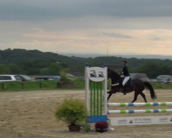 Reitturnier Burscheid-Paffenlöh 2019