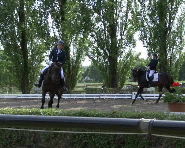 Reitturnier Hamm-Rhynern 2019