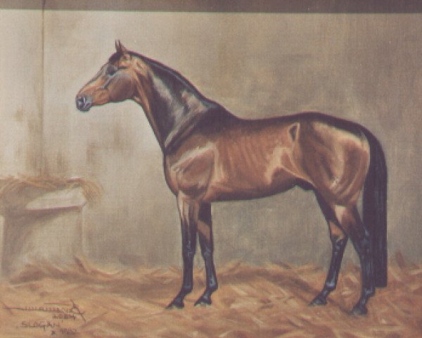 stallion Slogan (Hanoverian, 1982, from Shogun xx)