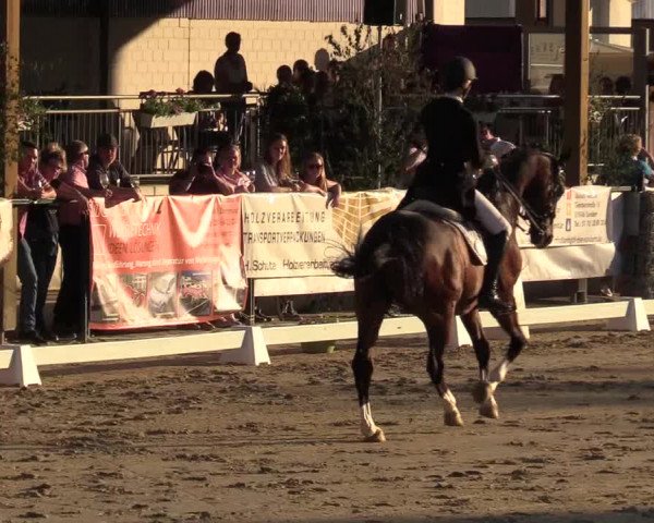 Reitturnier Hellefeld 2019