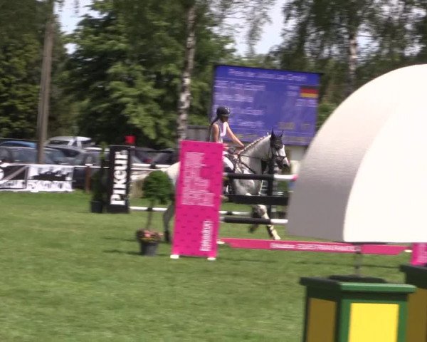 Reitturnier Hille 2019