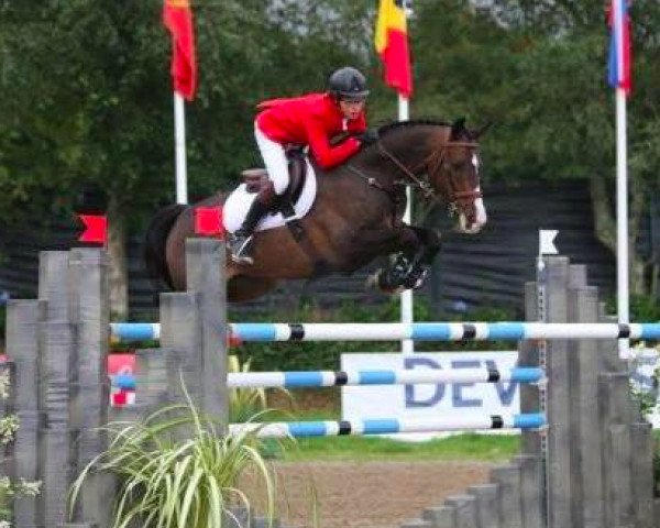 jumper Zazou Szumawa (KWPN (Royal Dutch Sporthorse), 2004, from Cantos)