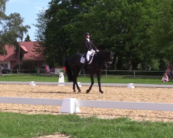 Reitturnier Hille 2019