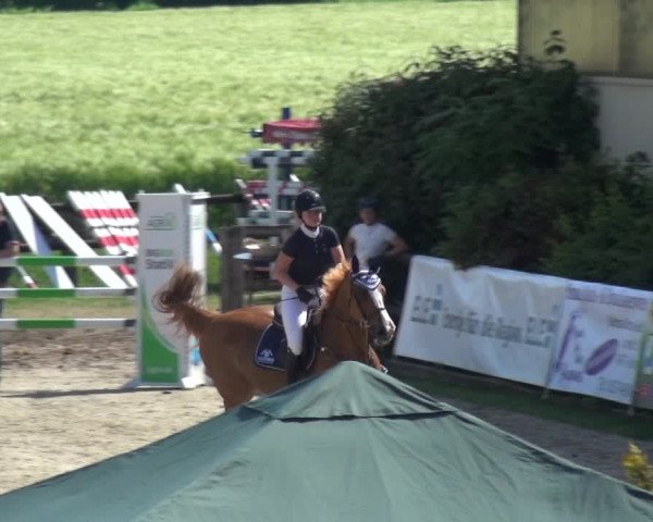 Reitturnier Kirchhellen/Stall Dieckmann 2019