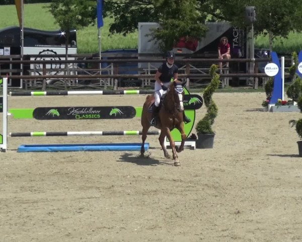 Reitturnier Kirchhellen/Stall Dieckmann 2019