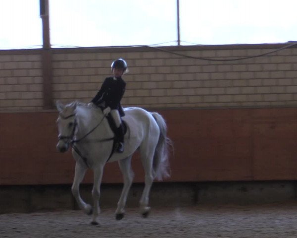 Reitturnier Hellefeld 2019