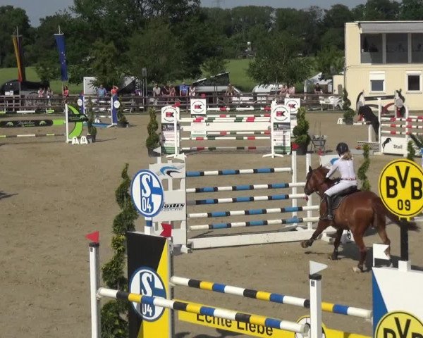 Reitturnier Kirchhellen/Stall Dieckmann 2019