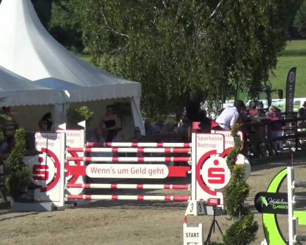 Reitturnier Kirchhellen/Stall Dieckmann 2019