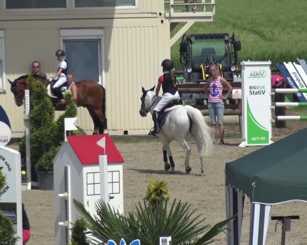 Reitturnier Kirchhellen/Stall Dieckmann 2019