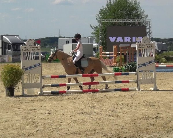 Reitturnier Burscheid-Paffenlöh 2019