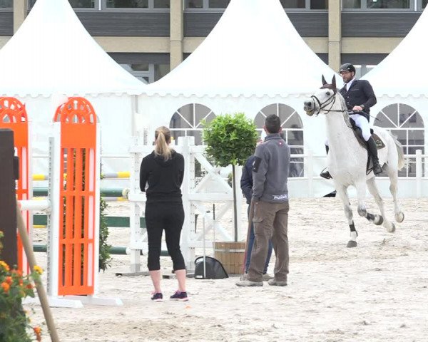 Reitturnier Zug 2019