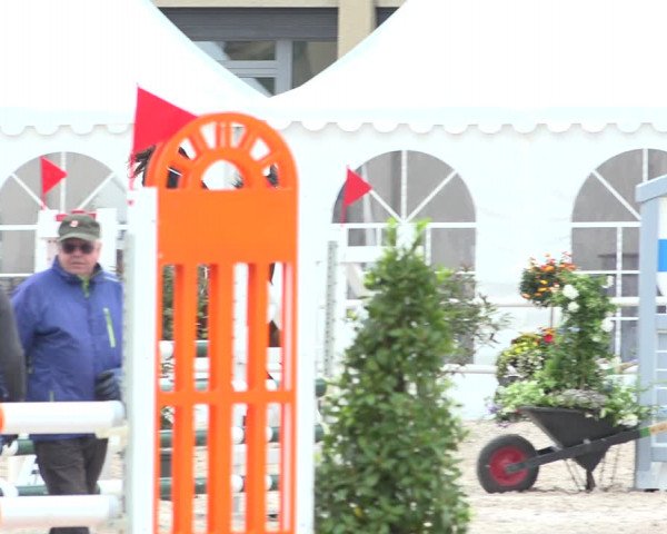 Reitturnier Zug 2019