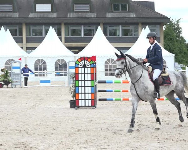 Reitturnier Zug 2019