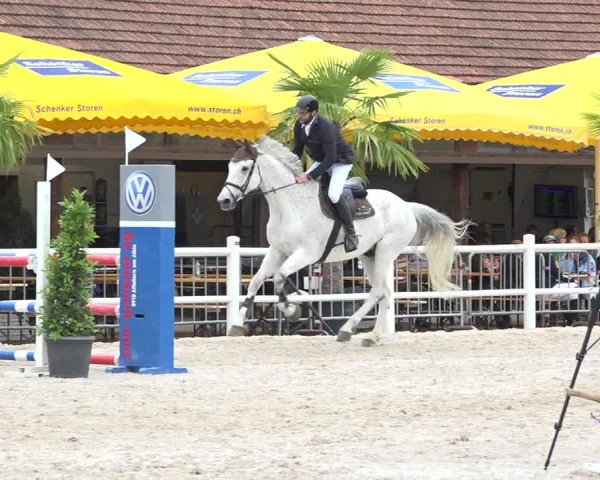 Reitturnier Zug 2019