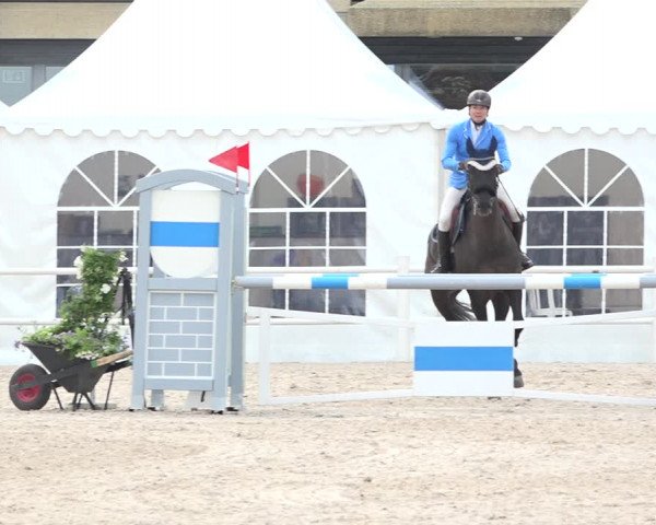 Reitturnier Zug 2019