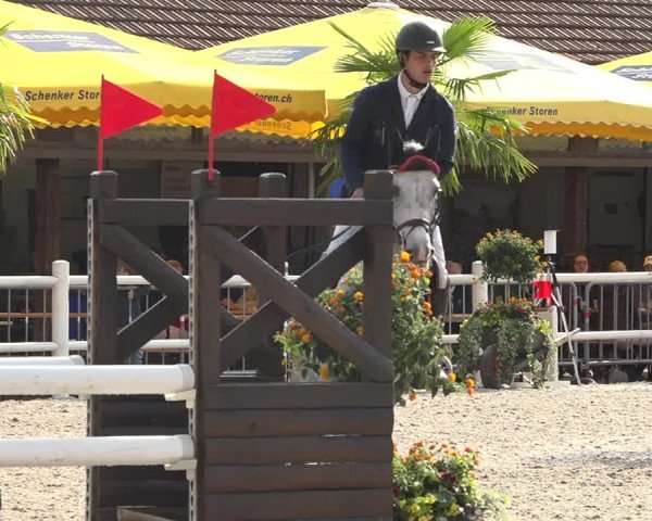 Reitturnier Zug 2019