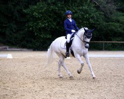 dressage horse Daytona Snow (German Riding Pony, 2009, from FS Don't Worry)