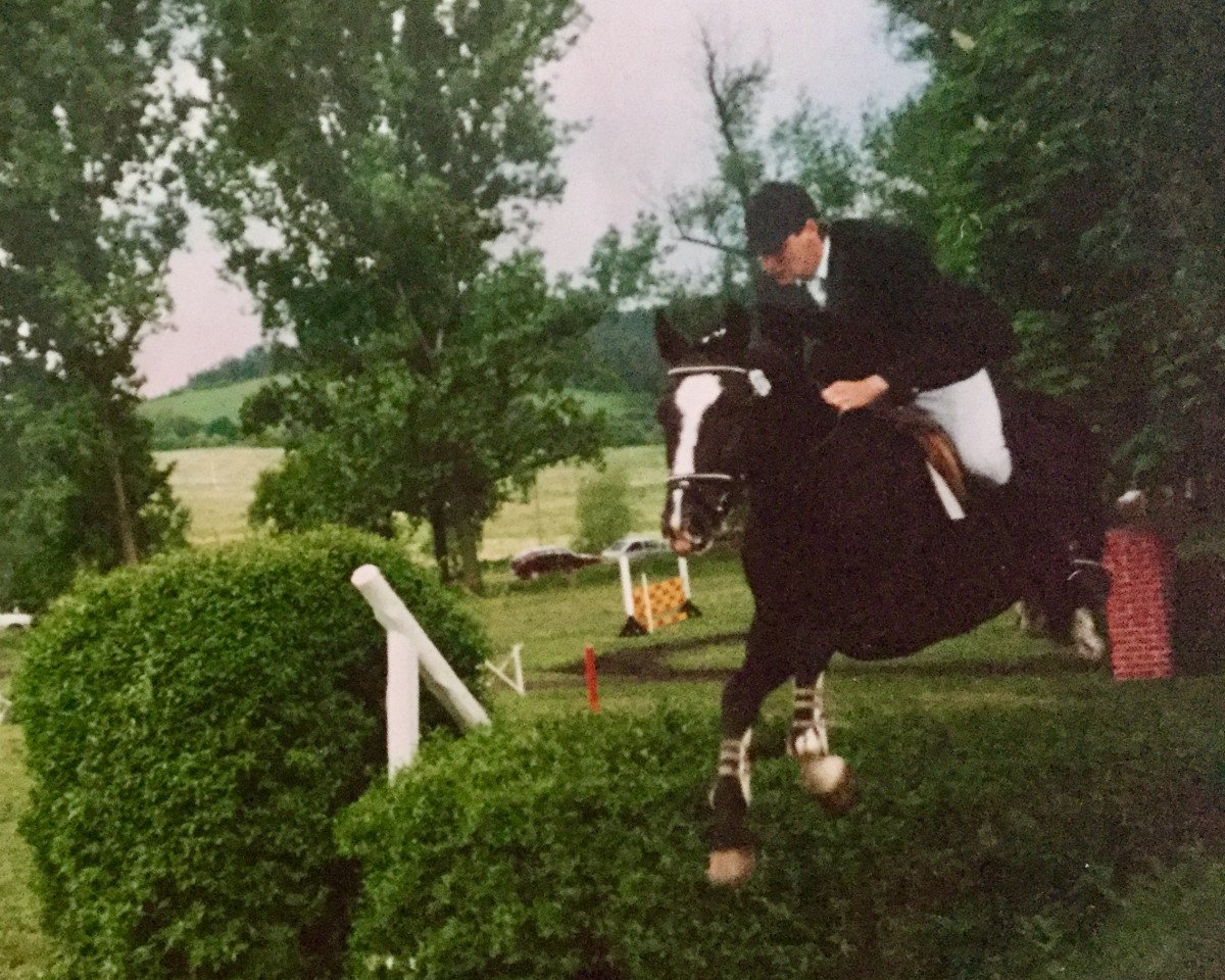 Deckhengst Corrado 31 (Hessisches Warmblut, 1990, von Caruso)