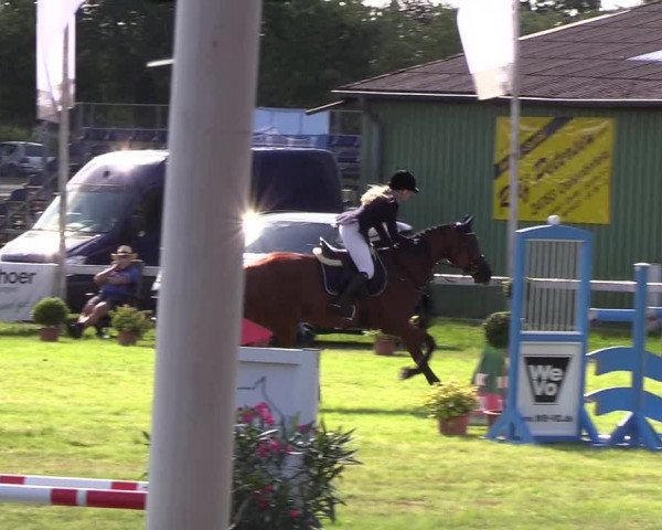 Reitturnier Rendsburg 2019