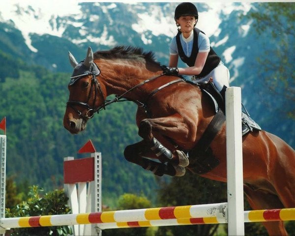 horse Le Naturel (Hanoverian, 1996, from Libero H)
