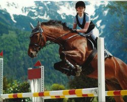 horse Le Naturel (Hanoverian, 1996, from Libero H)