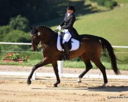 dressage horse Fidertraum 2 (Hanoverian, 2008, from Fidertanz)