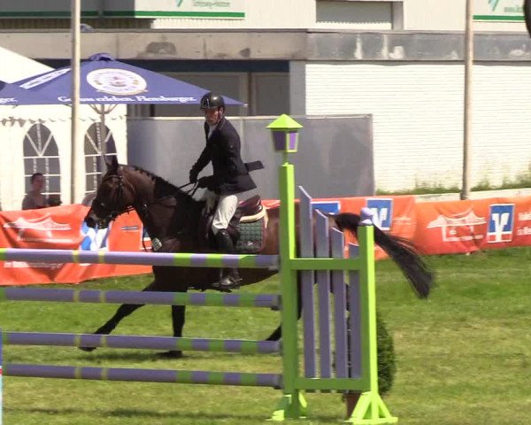 Reitturnier Rendsburg 2019