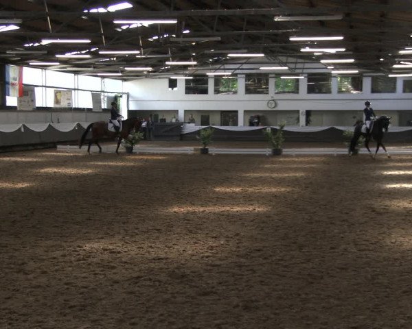 Reitturnier Bochum-Nord 2019