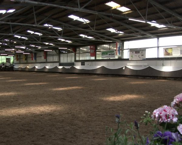 Reitturnier Bochum-Nord 2019