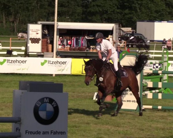 Reitturnier Rendsburg 2019